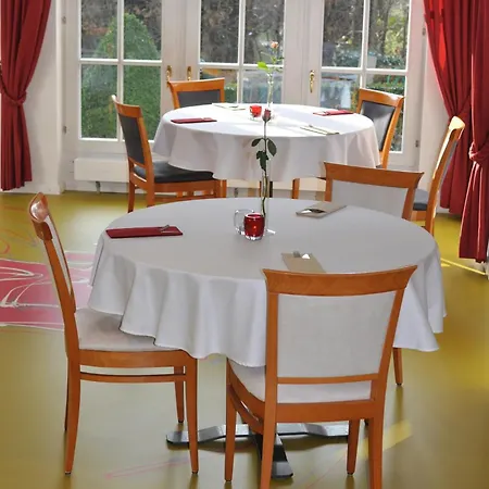 ホテル Krone Ueberlingen Am Ried 3*