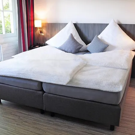 Krone Ueberlingen Am Ried ホテル ジンゲン