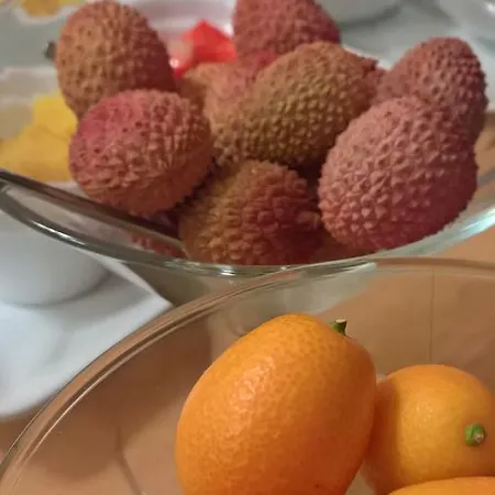 Krone überlingen Am Ried Singen